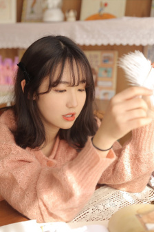 完美的妻子